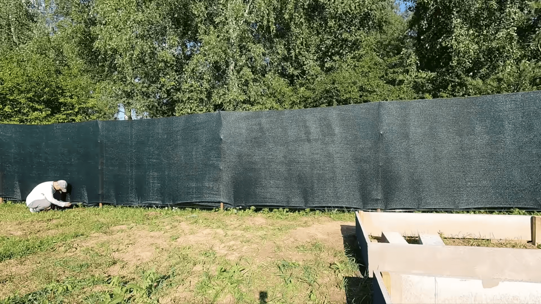 Atsibodo kaimynų žvilgsniai? Atskleidė, kaip pigiai ir greitai įsirengti nepermatomą tvorą