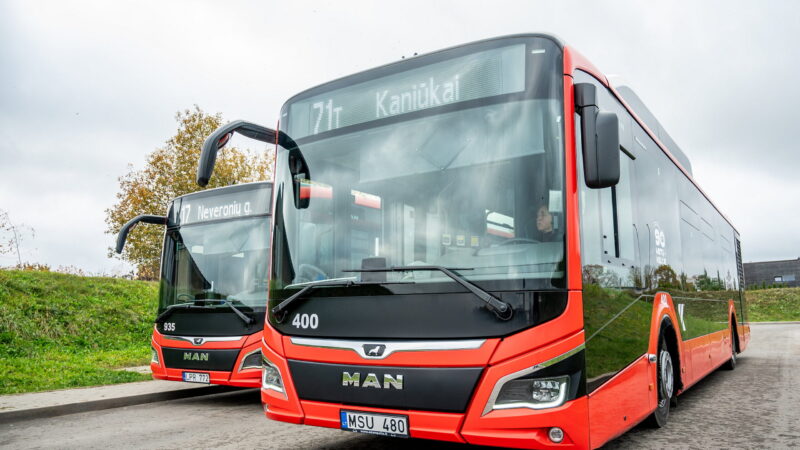 Kelionės su šunimis viešajame transporte keičiasi: svarbios naujos taisyklės keleiviams
