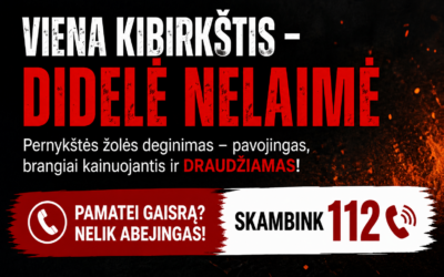 Ugniagesiai perspėja gyventojus: dėl šios klaidos kasmet liepsnoja didžiuliai plotai
