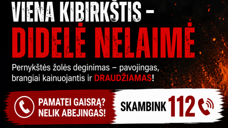 Ugniagesiai perspėja gyventojus: dėl šios klaidos kasmet liepsnoja didžiuliai plotai