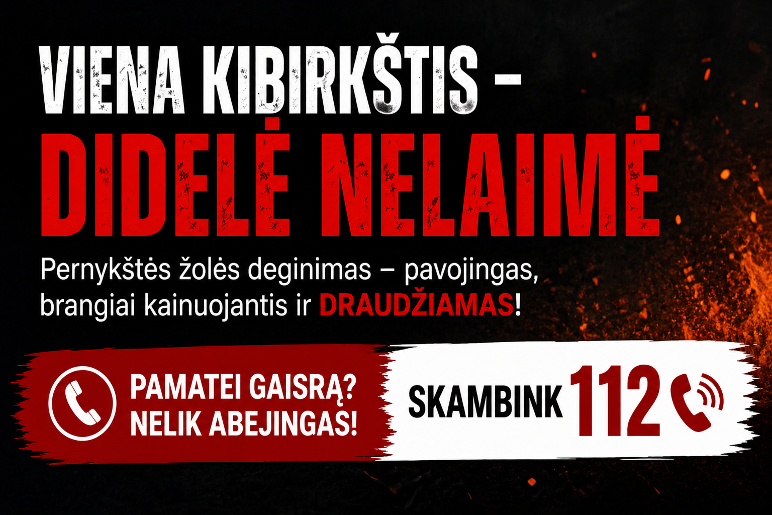 Ugniagesiai perspėja gyventojus: dėl šios klaidos kasmet liepsnoja didžiuliai plotai