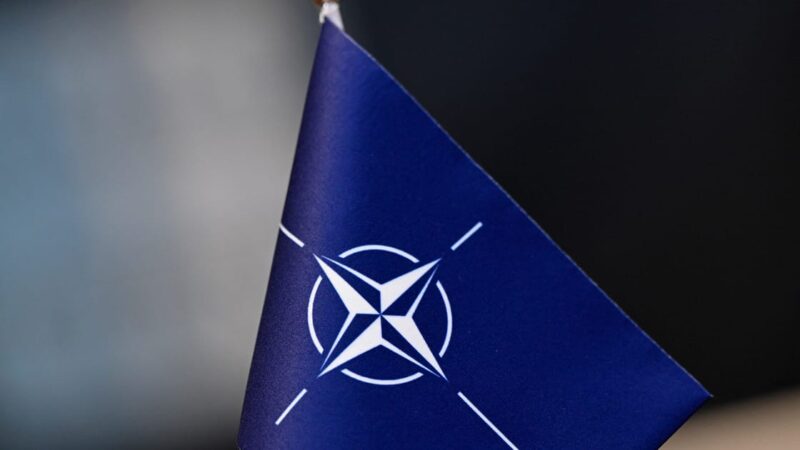 Europa ruošiasi istoriniam žingsniui: kuriama nauja gynybos sąjunga, Ukrainai numatytas ypatingas vaidmuo