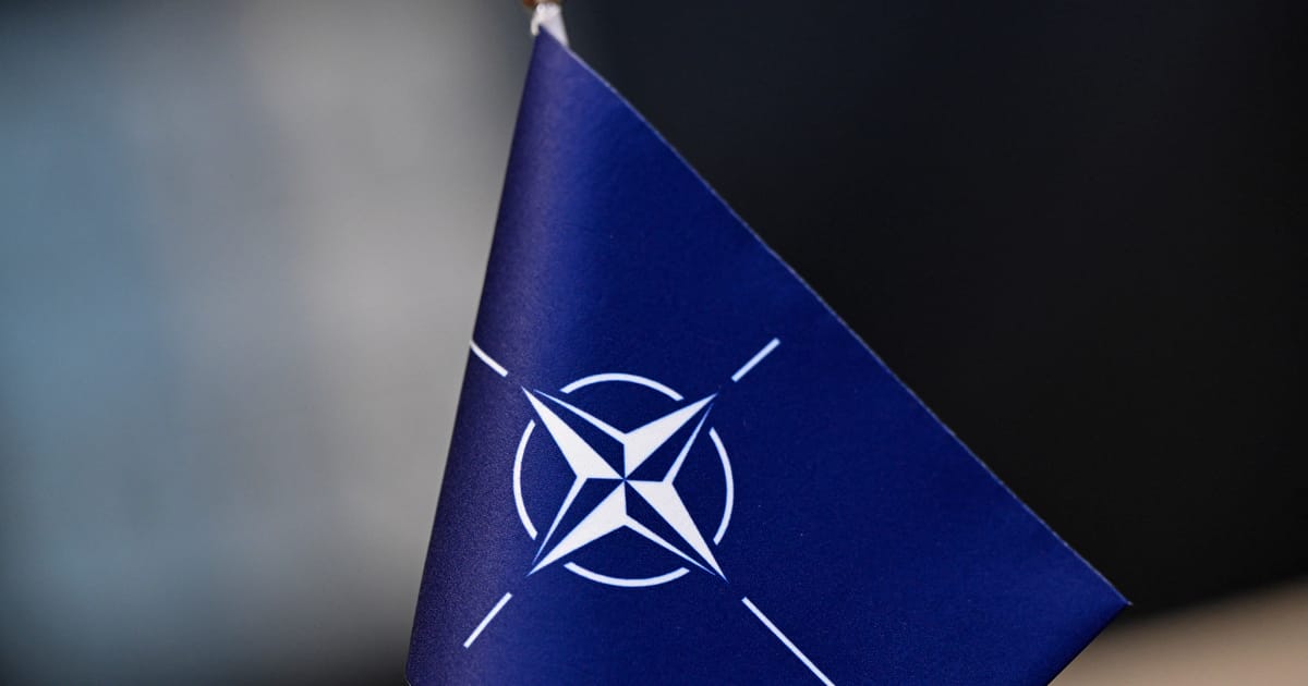 Švedijos kariuomenė sunerimo dėl ruso turto: sklypas yra strategiškai svarbioje vietoje