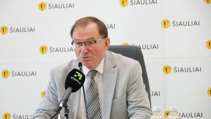 Šiaulių įmonių rezultatai atskleisti: vienos skaičiuoja milijoninius pelnus, kitos dirba nuostolingai
