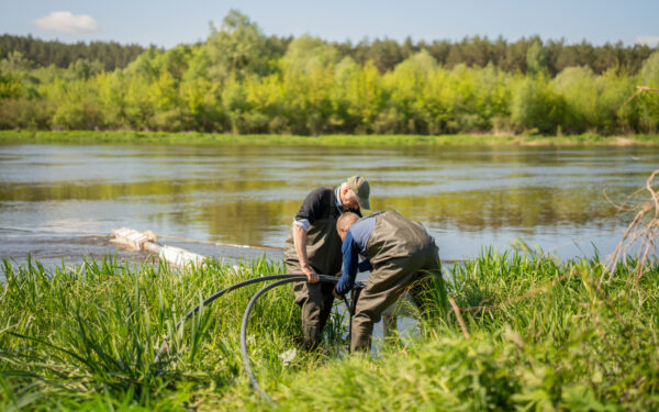 Prasidėjo kova su mašalais Pietų Lietuvoje: į Nemuną pilamas specialus biologinis preparatas