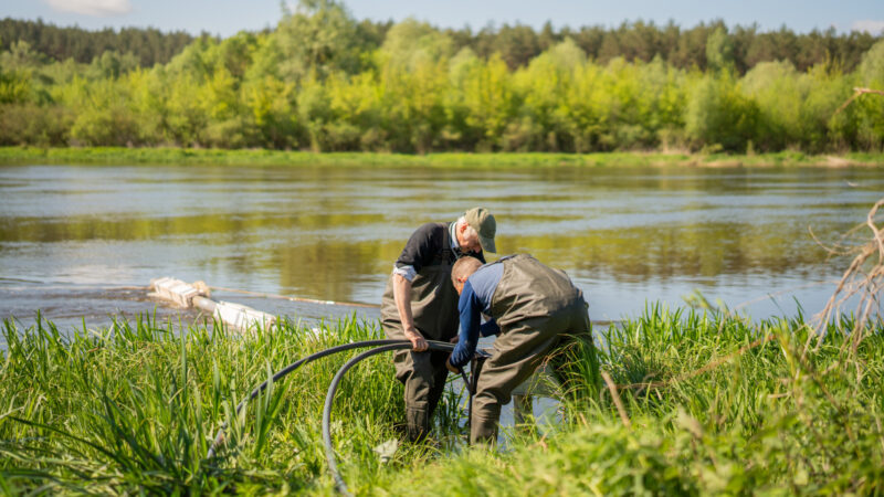 Prasidėjo kova su mašalais Pietų Lietuvoje: į Nemuną pilamas specialus biologinis preparatas