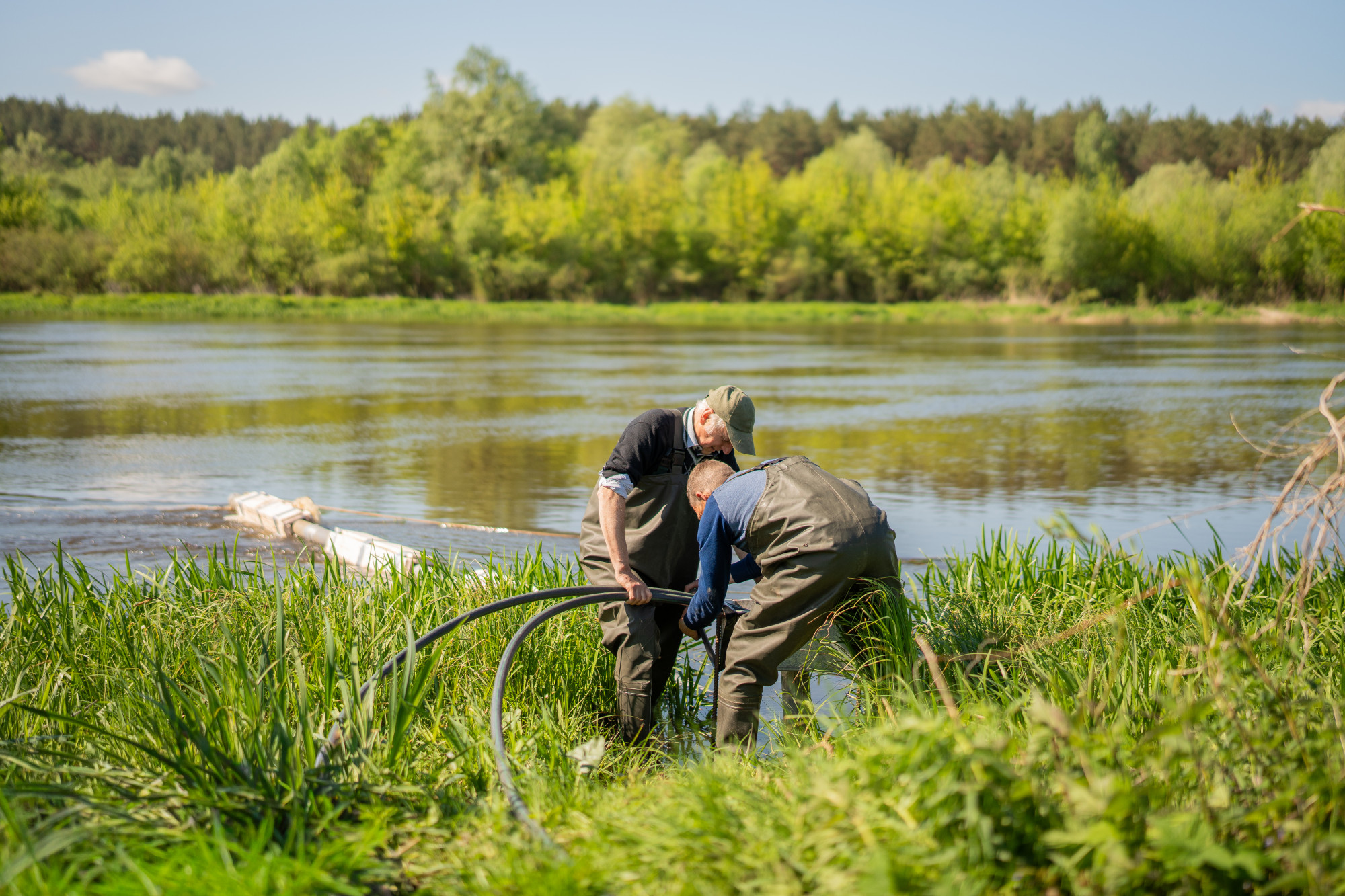 Prasidėjo kova su mašalais Pietų Lietuvoje: į Nemuną pilamas specialus biologinis preparatas