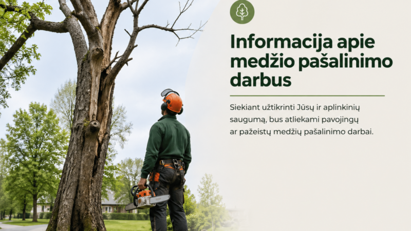 Dėl naujo pėsčiųjų ir dviračių tako Kėdainiuose bus kertami medžiai: gyventojai sunerimę