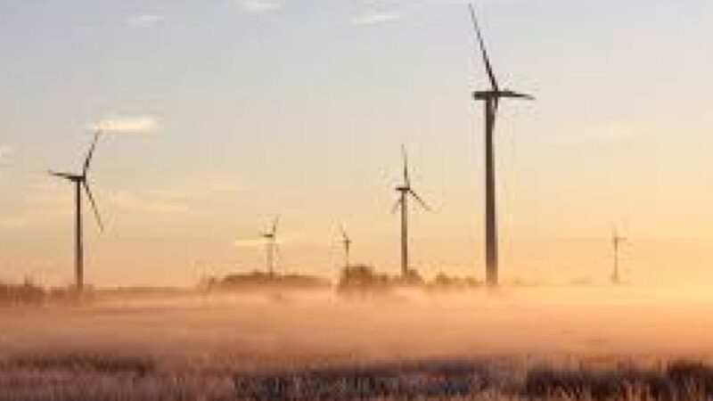 Kaišiadorių rajone planuojamos naujos vėjo elektrinės: daliai sklypų savininkų atsiras ribojimų