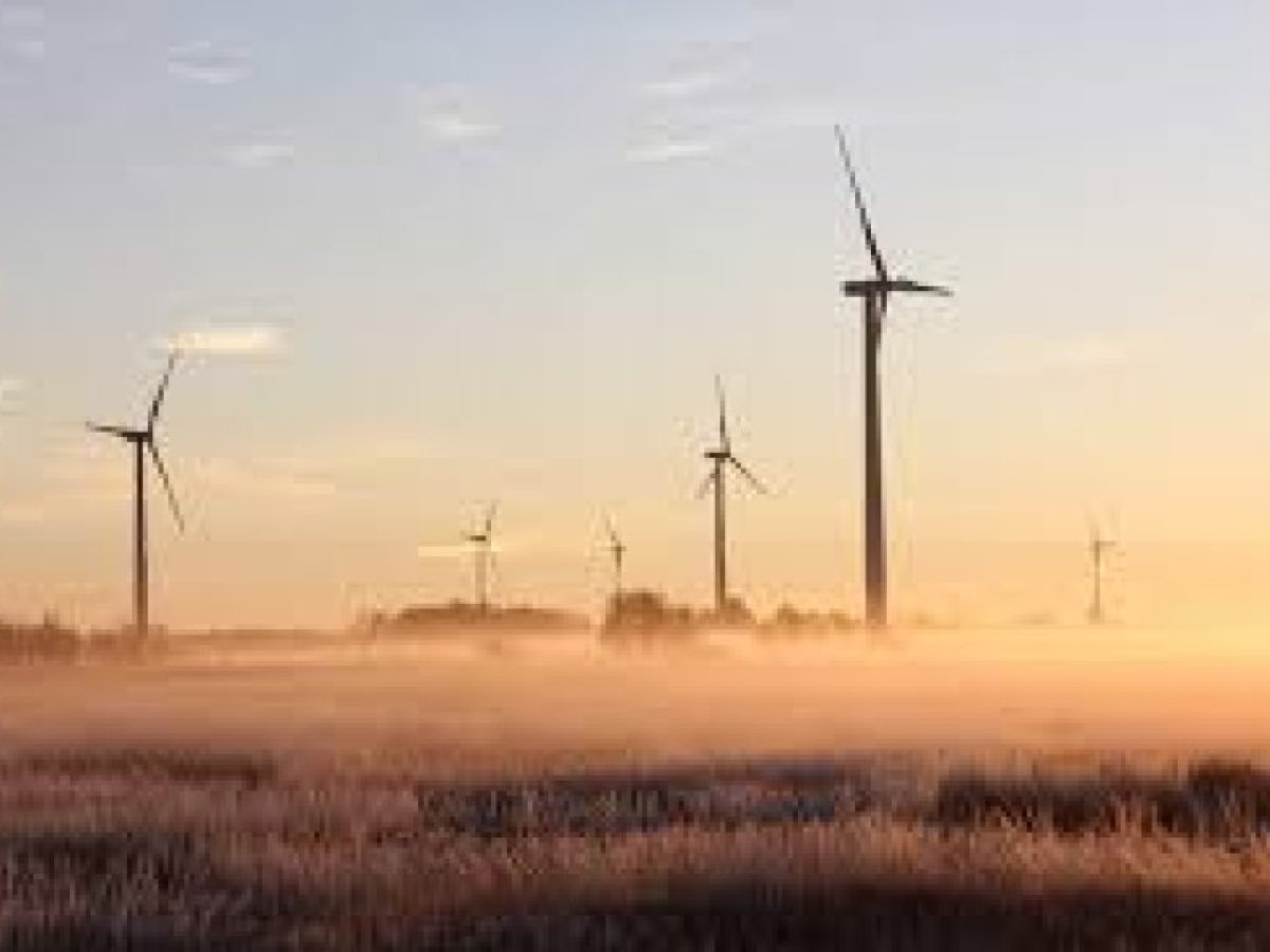Kaišiadorių rajone planuojamos naujos vėjo elektrinės: daliai sklypų savininkų atsiras ribojimų