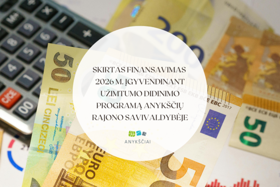 Užimtumo programai skirta 58 200 eurų: paaiškėjo, kam atiteks finansavimas