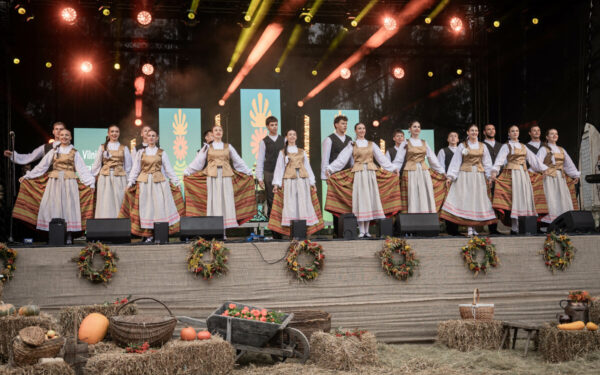 Paaiškėjo, kam atiteks 111 tūkst. eurų: rajone suplanuoti net 57 kultūros projektai