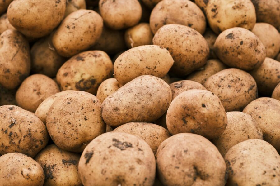 Close-up of freshly harvested potatoes with earthy tones, ideal for agriculture themes.