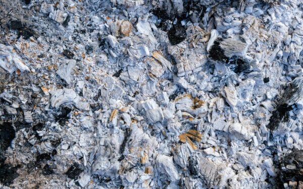 Klaida, kuri pražudys jūsų derlių: 7 augalai, kuriems negalima berti pelenų