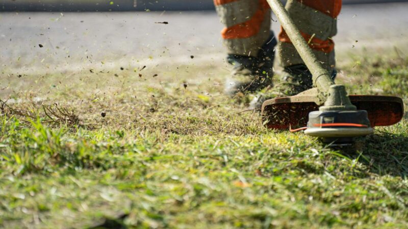Mieste prasideda šienavimo sezonas: savivaldybė įspėja dėl galimų trikdžių gatvėse