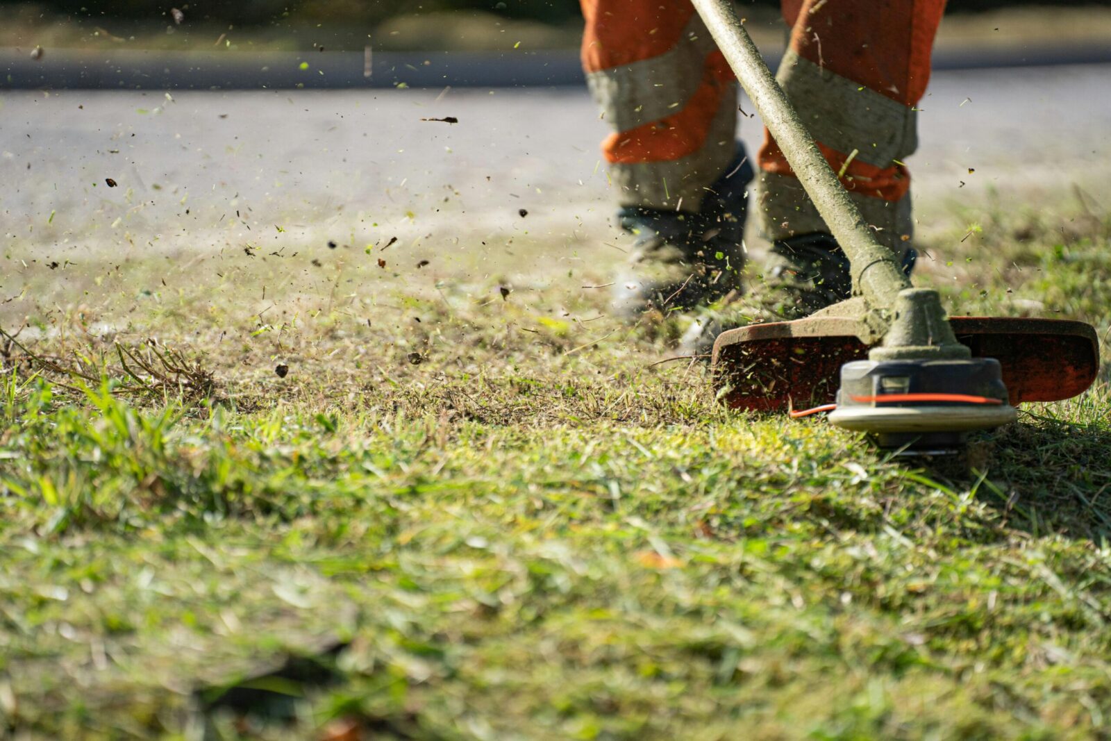 Mieste prasideda šienavimo sezonas: savivaldybė įspėja dėl galimų trikdžių gatvėse