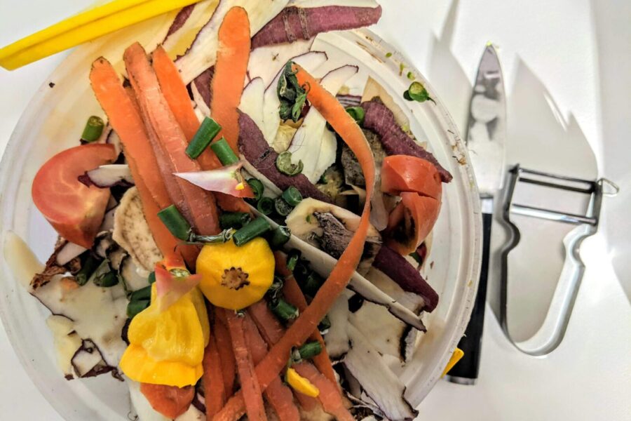 A vibrant pile of vegetable peels for composting, promoting sustainable living.