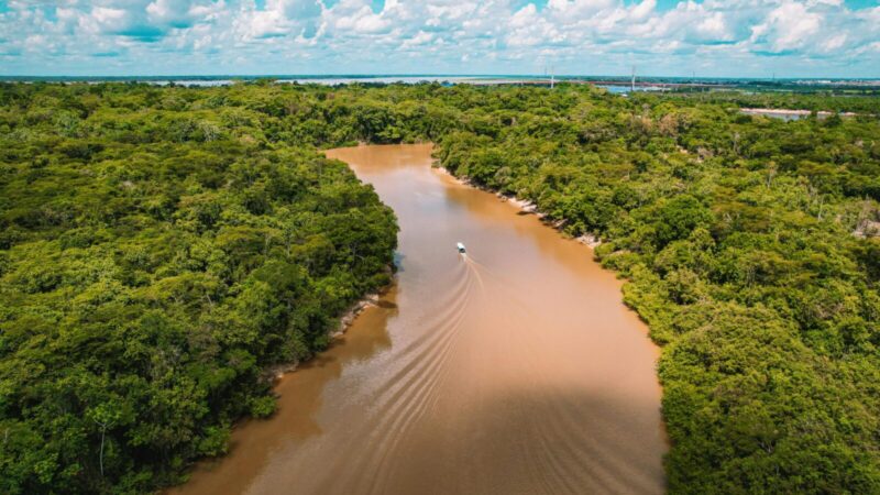 Amazonė artėja prie lūžio: mokslininkai perspėja, kad iki 2040-ųjų džiunglės gali virsti savana