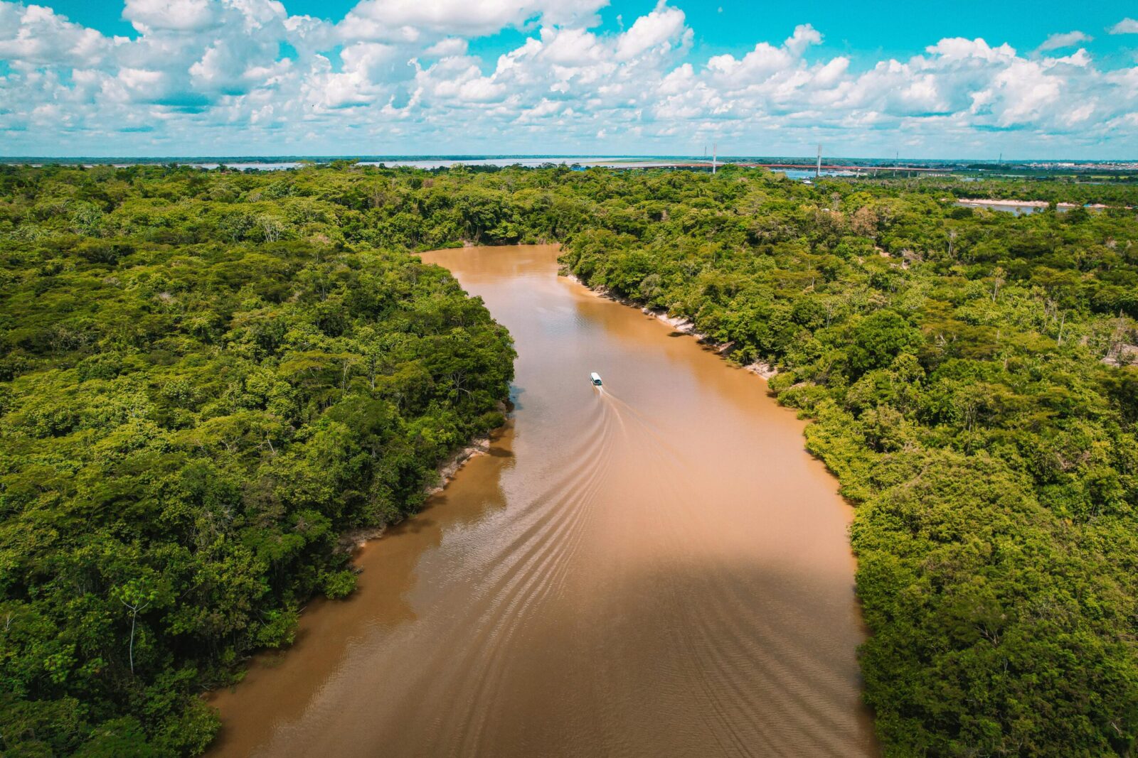 Amazonė artėja prie lūžio: mokslininkai perspėja, kad iki 2040-ųjų džiunglės gali virsti savana