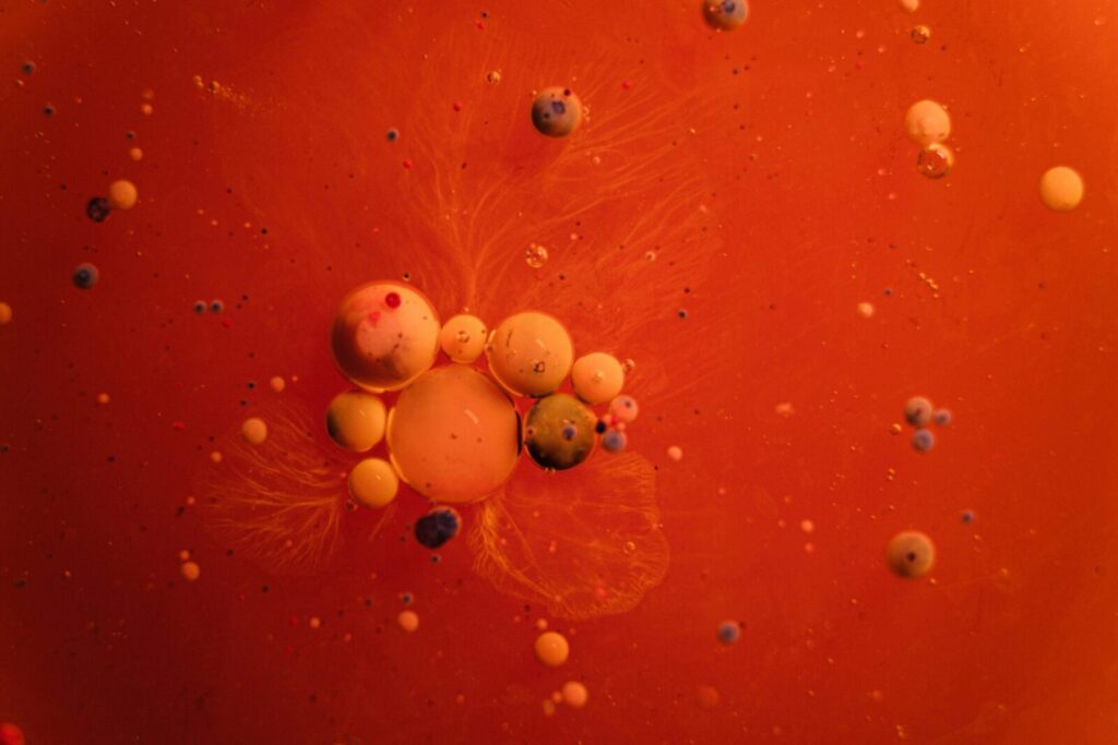 Vibrant abstract art featuring colorful bubbles against a red backdrop.