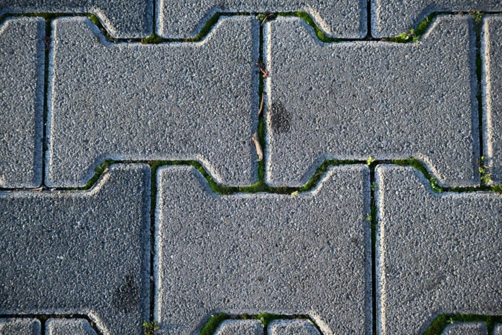 Close-up view of a grey brick walkway with moss growing in between the bricks.