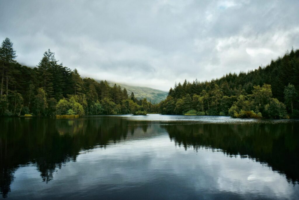 Tranquil view of a lush forested lake in Scotland, ideal for nature lovers.