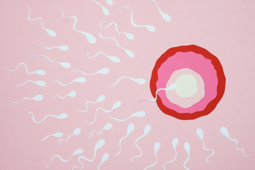 Illustration of sperm reaching an egg with a pink background, symbolizing fertilization.