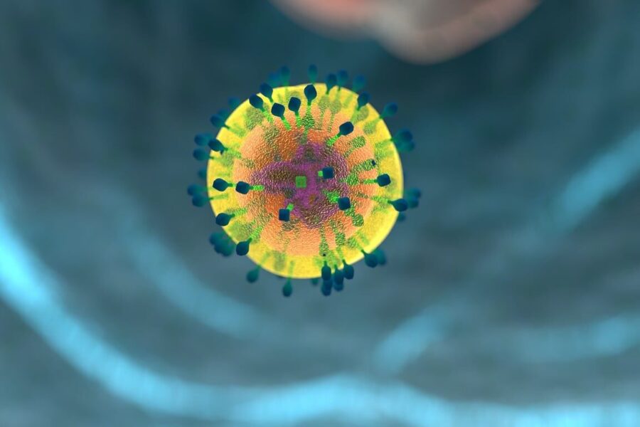 corona, immune system, blood cells, virus, defense, helper cell, t-cell, disease, flu, to cough, ill, influenza, hiv, 3d rendering, 3d, immune system, immune system, blood cells, influenza, influenza, hiv, hiv, hiv, hiv, hiv