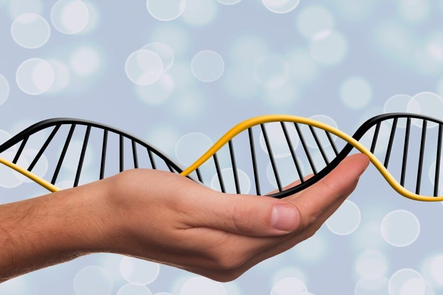 dna, adn, deoxyribonucleic acid, dns, genetics, symbol, biology, research, science, chromosome, spiral, helix, dna, dna, dna, dna, dna, genetics