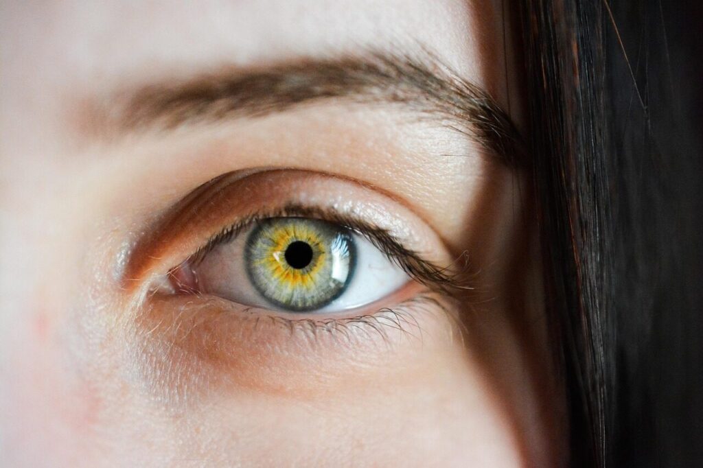 eye, iris, macro, natural, girl, eyebrows, detailed, green, brown, view, sight, human, face, vision, focus, eye, eye, eye, eye, eye