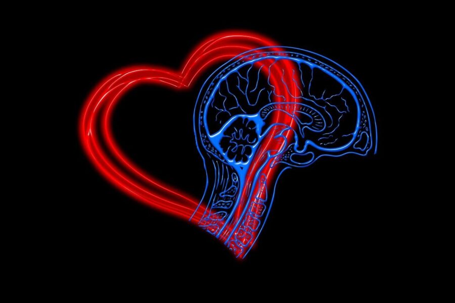 heart, mind, emotional intelligence, eq, iq, intelligence quotient, feeling, brain, intellect, decision, together, throughts, competence, social, emotionally, collaboration, plus, success, feelings, unit, psychology, emotional intelligence, emotional intelligence, emotional intelligence, emotional intelligence, emotional intelligence