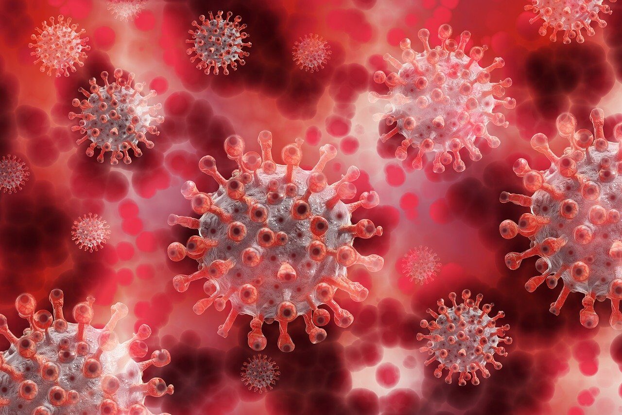 Netikėtas ginklas prieš virusus: mokslininkai juos suardė paprastu ultragarsu