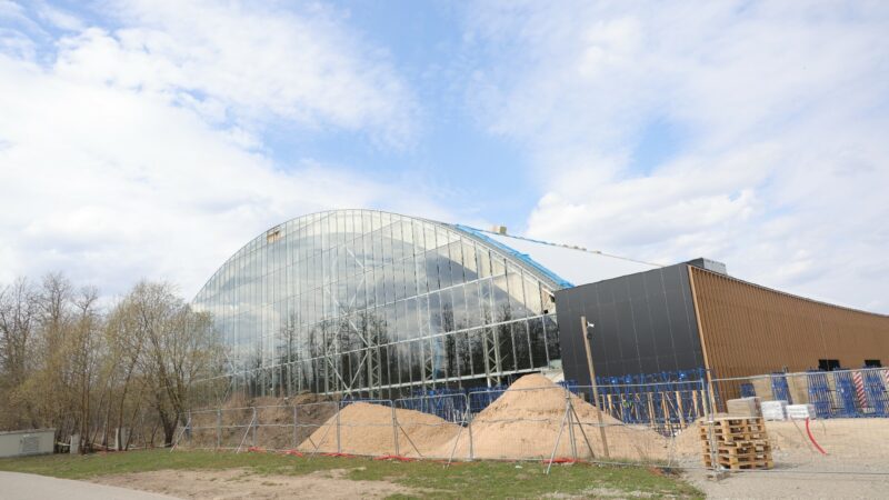 Viešuosiuose pirkimuose sutaupyta beveik 19 mln. eurų: kai kurių projektų kainos smuko drastiškai