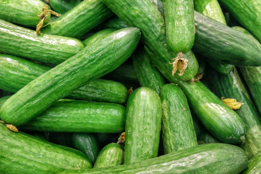 cucumber lot
