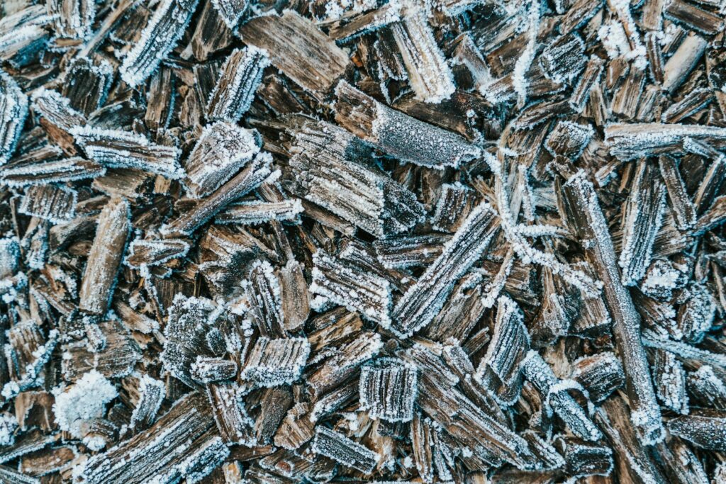 a pile of wood shavings covered in ice