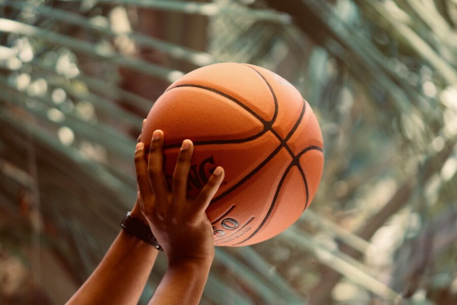 a person holding a basketball up in the air