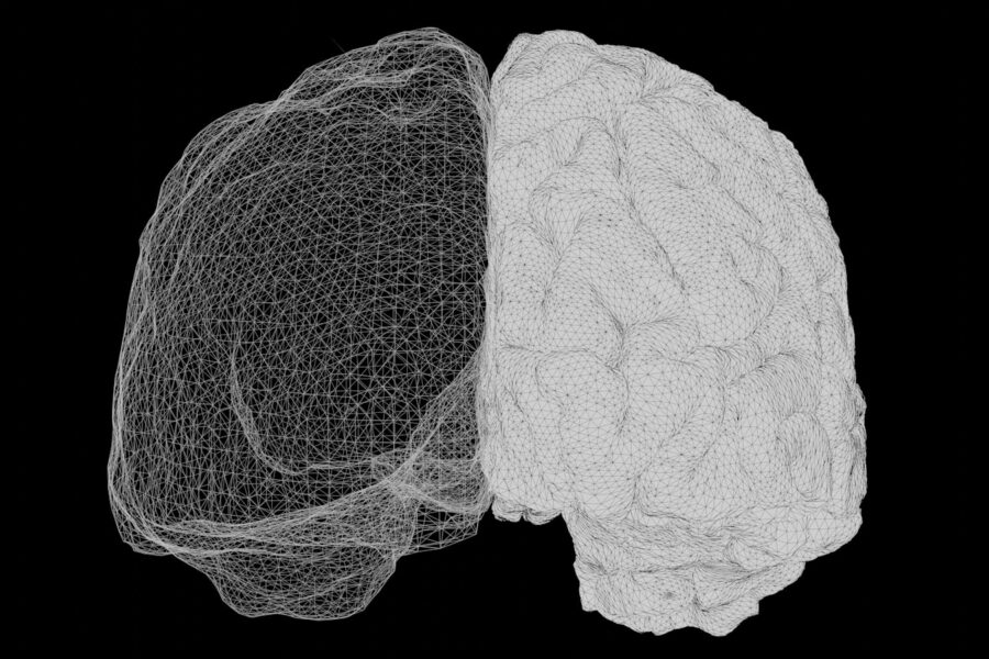 a computer generated image of a human brain