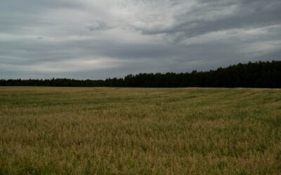 Prasideda sklypų patikrinimai: kai kuriems savininkams gresia didesnis mokestis