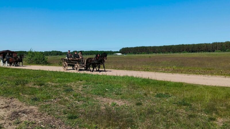 Įspūdingas žygis per Lietuvą: su žemaitukais ir senoviniais vežimais keliauja į Niūronis
