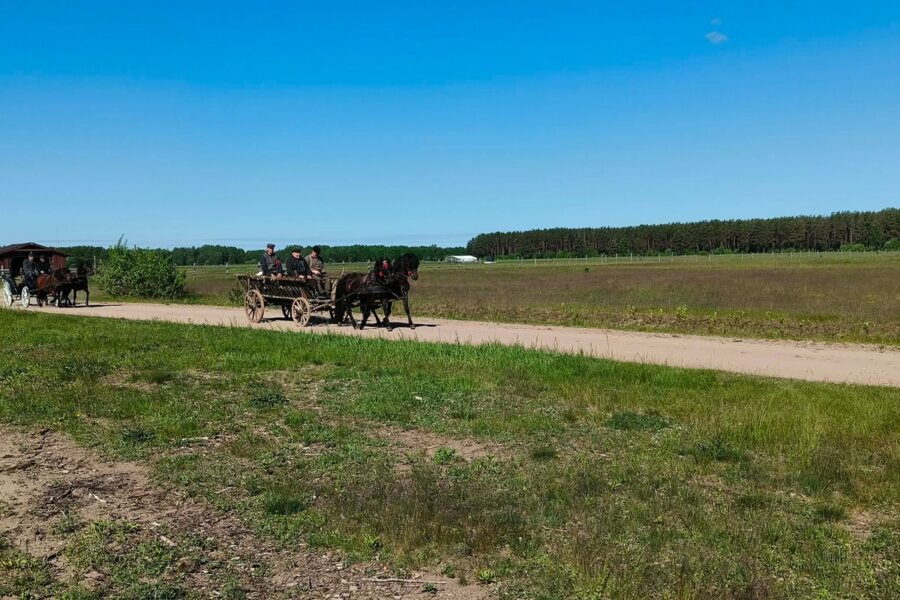 Įspūdingas žygis per Lietuvą: su žemaitukais ir senoviniais vežimais keliauja į Niūronis