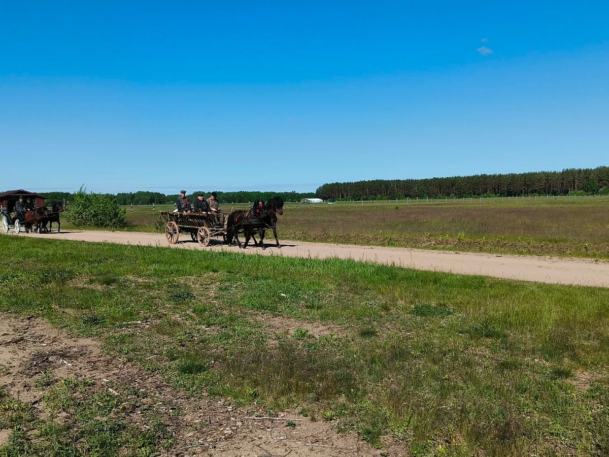 Įspūdingas žygis per Lietuvą: su žemaitukais ir senoviniais vežimais keliauja į Niūronis
