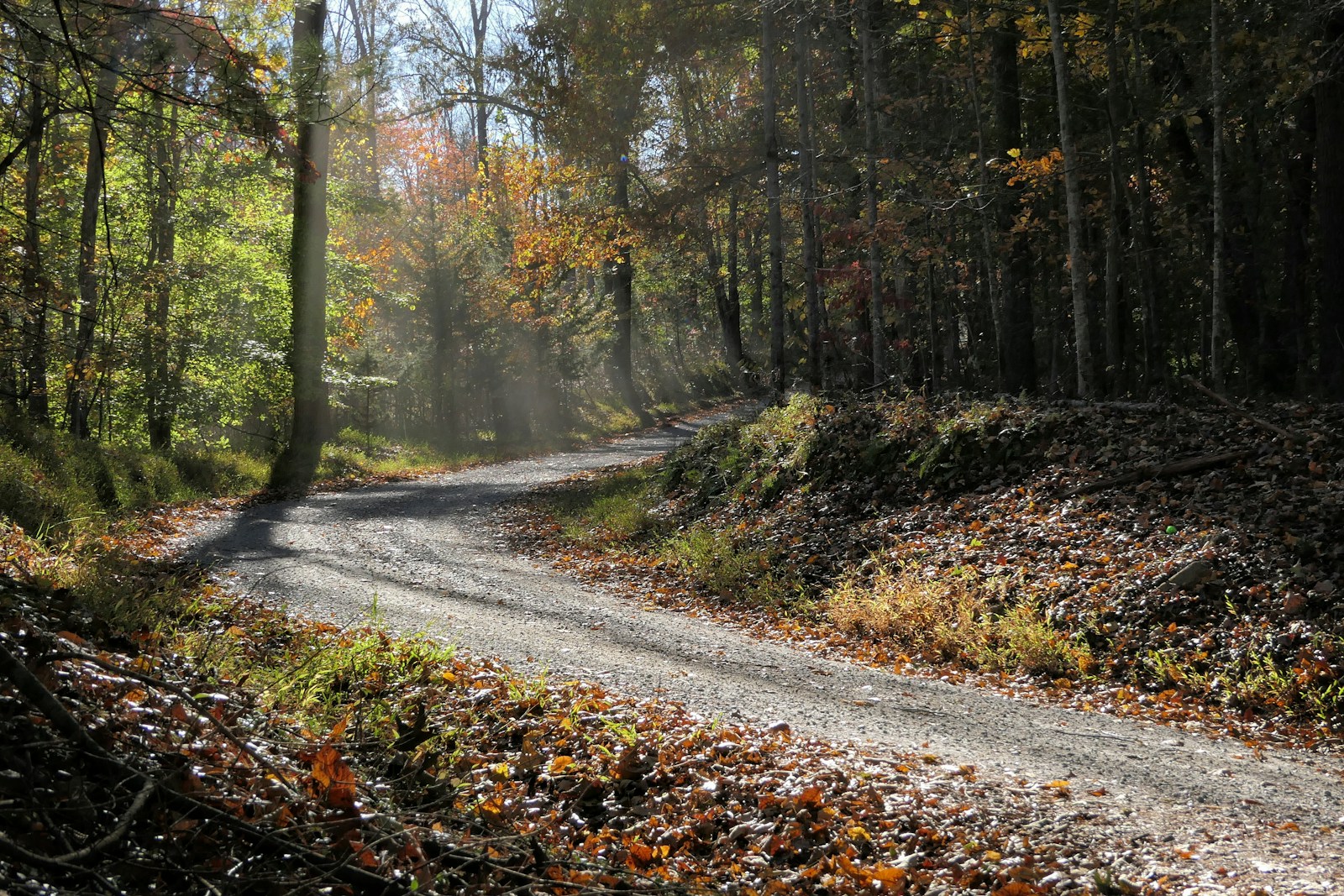 Teminė iliustracija