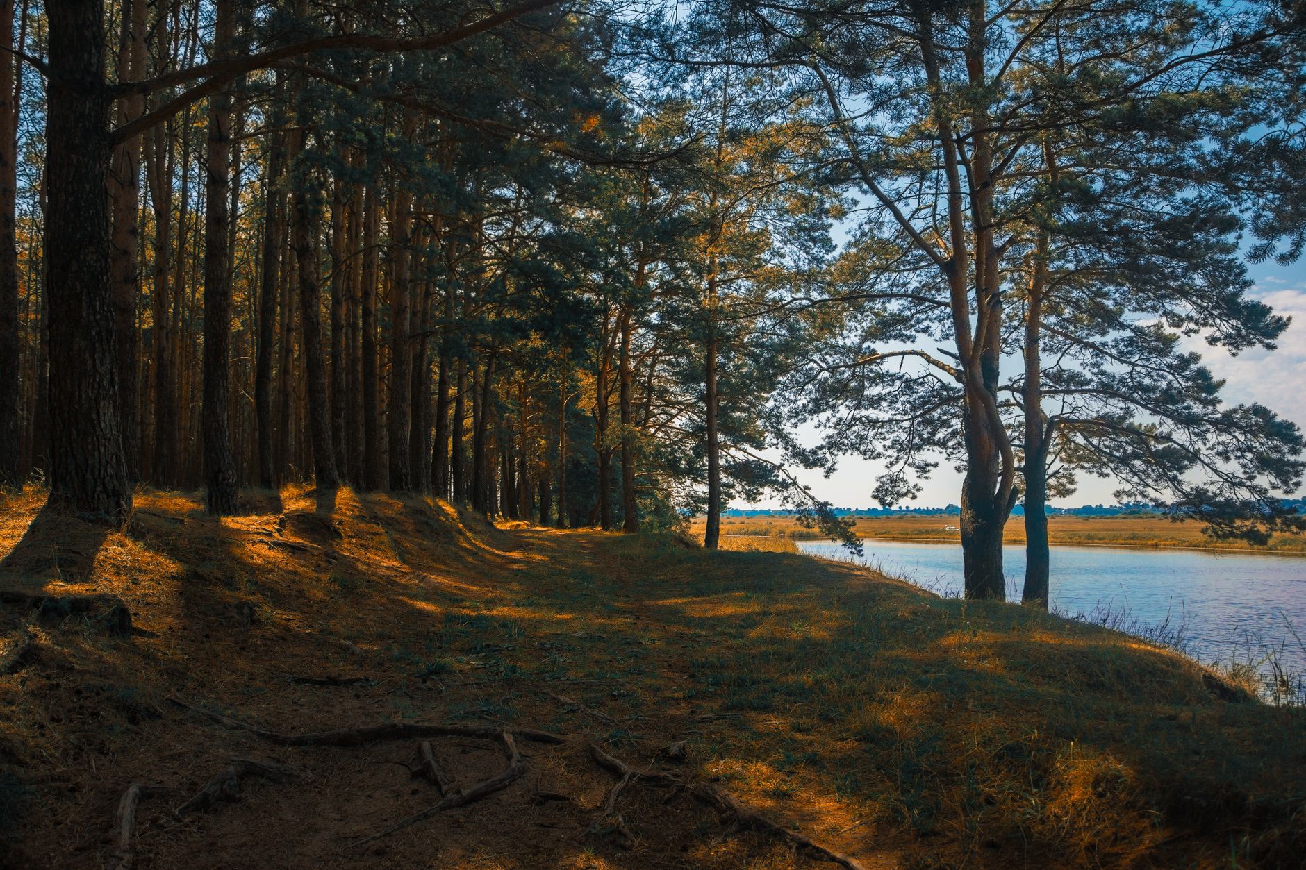 Teminė iliustracija
