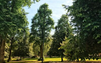 Kretingos dvaro parkas keičiasi: kaip istorinis Žemaitijos perlas tampa šiuolaikišku traukos centru