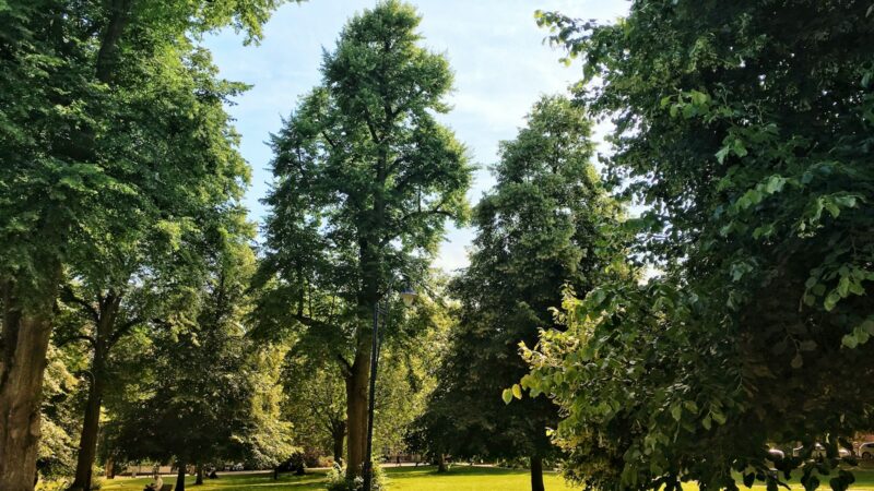 Kretingos dvaro parkas keičiasi: kaip istorinis Žemaitijos perlas tampa šiuolaikišku traukos centru