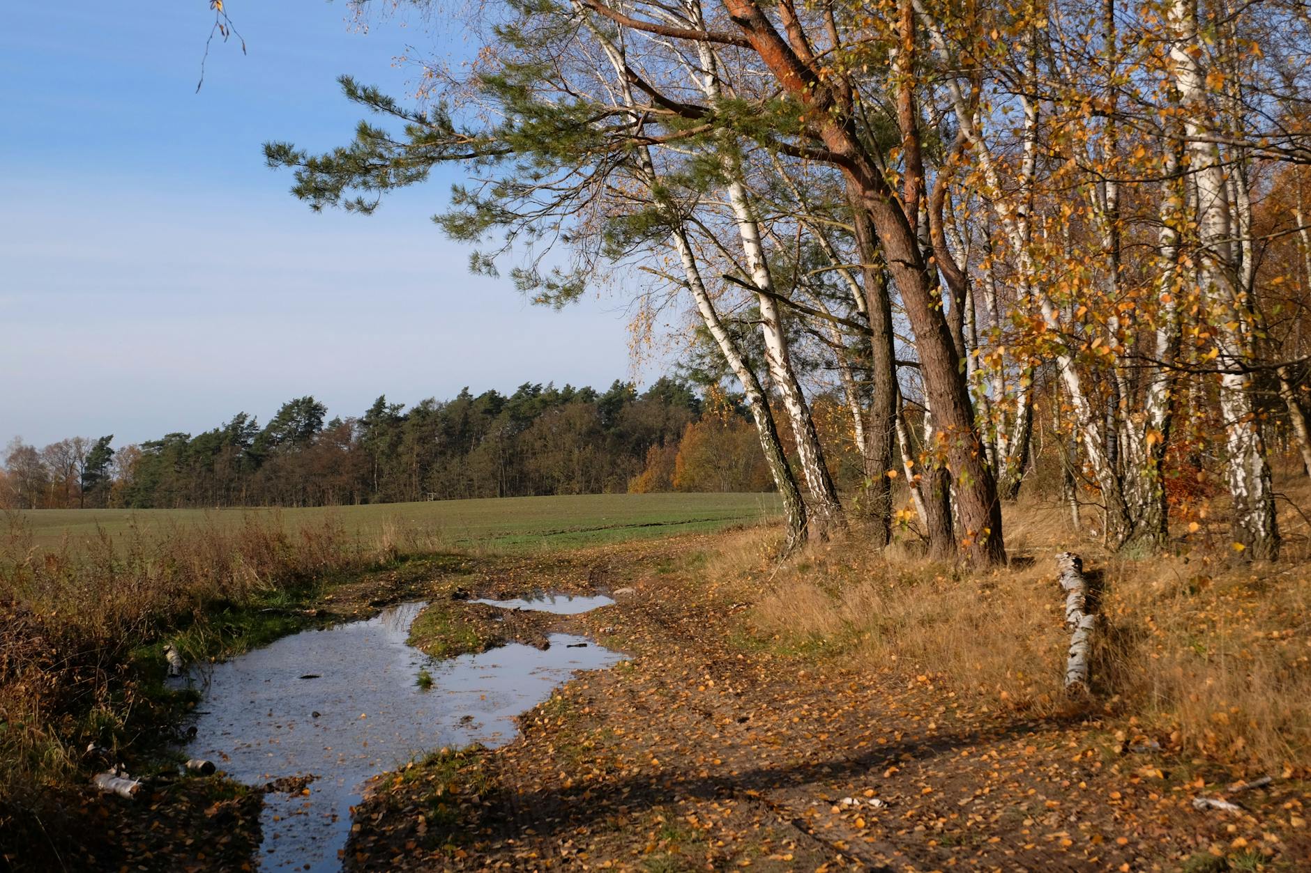 Teminė iliustracija