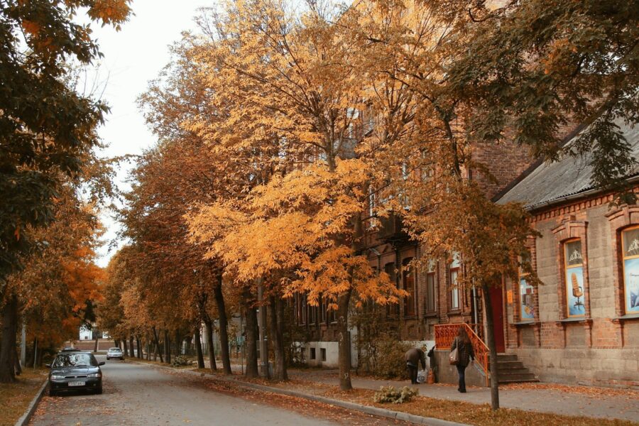 Pagrindinė iliustracija