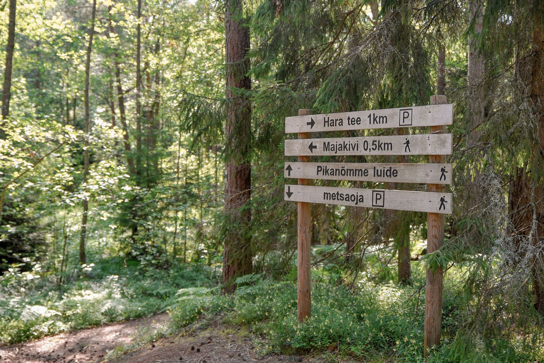 Teminė iliustracija