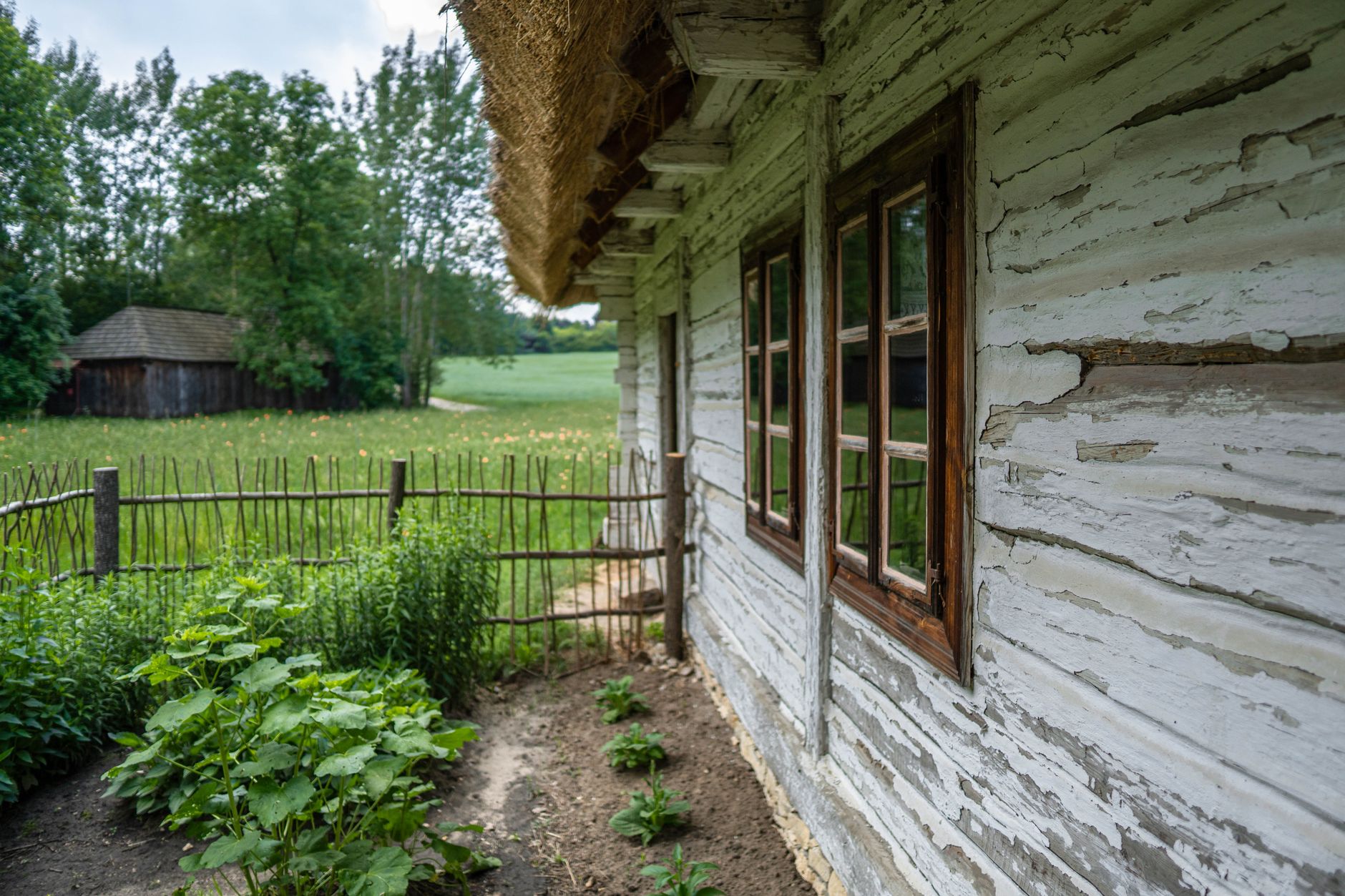 Teminė iliustracija