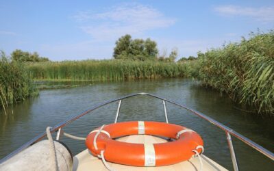 Savaitgalis Šilutėje ir Nemuno deltoje: ką pamatyti, paragauti ir kaip suplanuoti išvyką